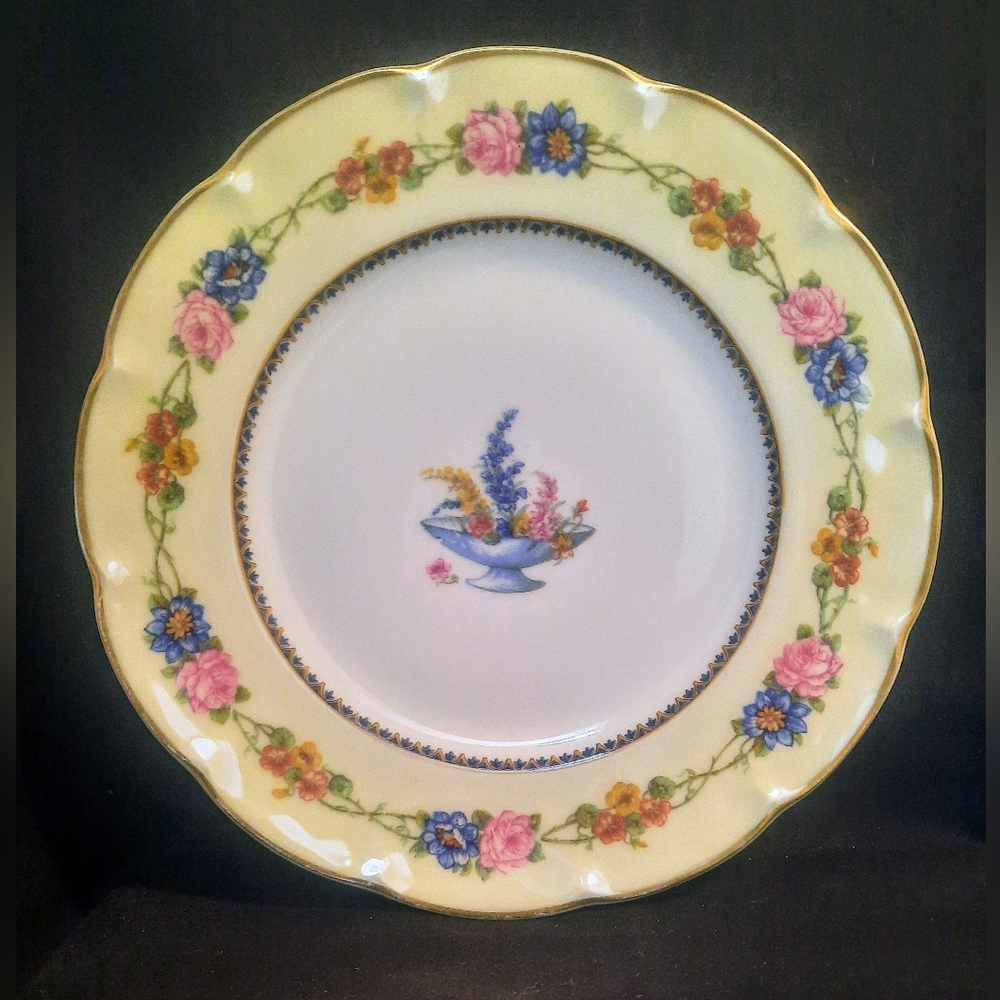 Haviland Limoges Dinner Plate